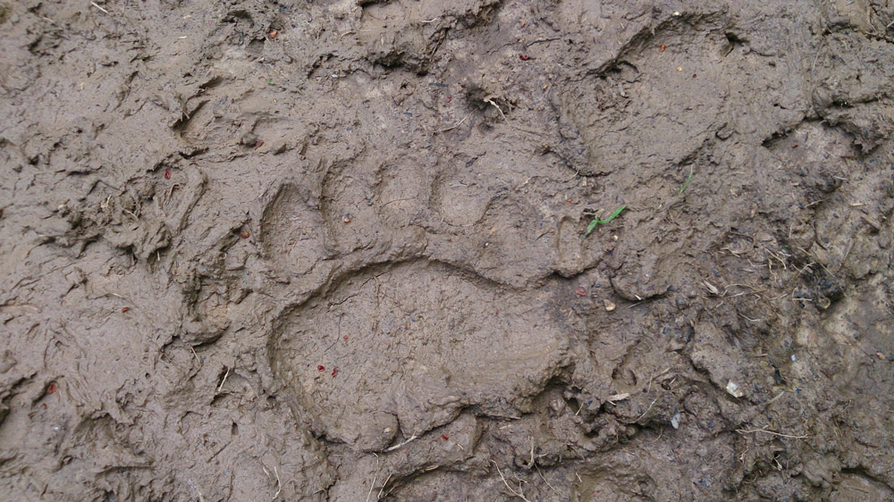 tonkovic-hunting-finshing-croatia-ravno-zapad-18